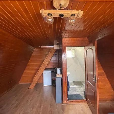 Cabana Tip A La 300 M De Castel Hunedoara Exterior photo