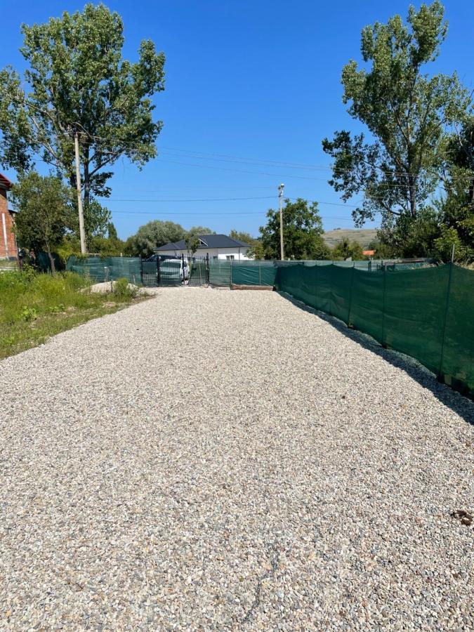 Tip A La 300 M De Castel Hunedoara