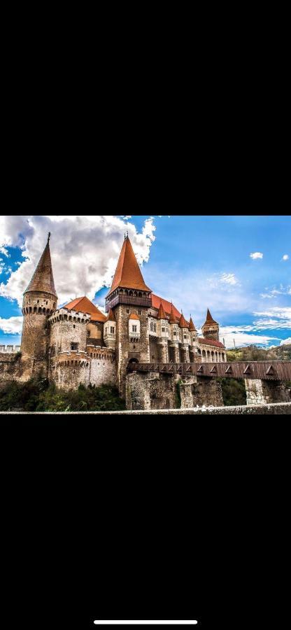 Holiday home Tip A La 300 M De Castel Hunedoara