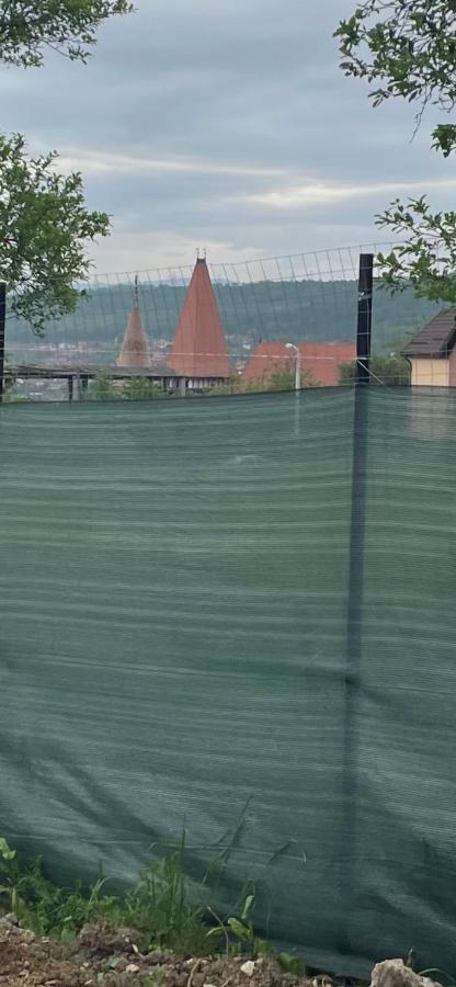 Tip A La 300 M De Castel * Hunedoara